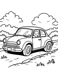 Auto bojanka za stampanje