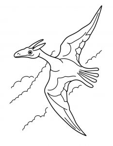Pteranodon 1
