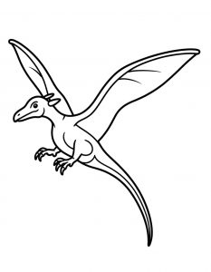 Pteranodon Realni2 27
