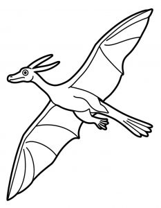 Pteranodon Realni3 54