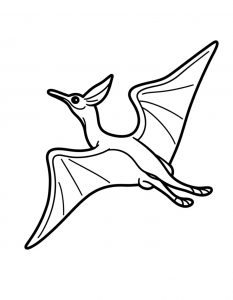 Pteranodon Stilizovan 31